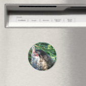 ブルーヘン マグネット (インサイチュ (食洗機))