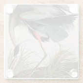 ブルーヘ素晴らしロンバードズオブアメリカオードゥボンプリント ガラスコースター (裏面)