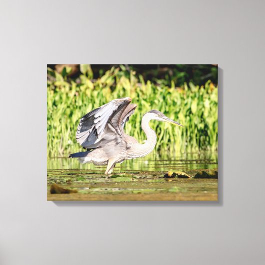 ブルーヘ素晴らしロン キャンバスプリント (正面)