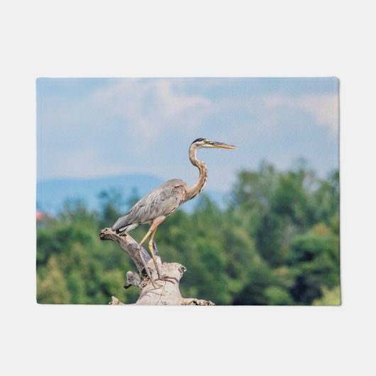 ブルーヘ素晴らしロン ドアマット (正面)