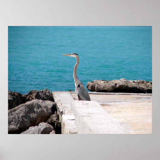 ブルーヘ素晴らしロン ポスター (正面)