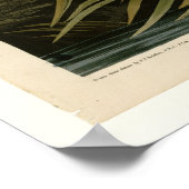 ブルーヘ素晴らしロン ポスター (角)