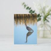 ブルーヘ素晴らしロン ポストカード (スタンド正面)