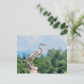 ブルーヘ素晴らしロン ポストカード (スタンド正面)