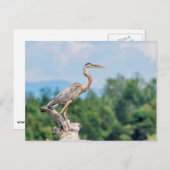 ブルーヘ素晴らしロン ポストカード (正面/裏面)