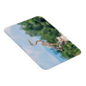 ブルーヘ素晴らしロン マグネット (右側)