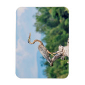 ブルーヘ素晴らしロン マグネット (縦)