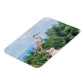 ブルーヘ素晴らしロン マグネット (左側)