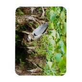 ブルーヘ素晴らしロン マグネット (縦)
