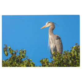 ブルーヘ素晴らしロン メタルプリント