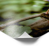 ブルーベア フォトプリント            (角)