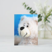 ブルーベア 案内ポストカード (スタンド正面)