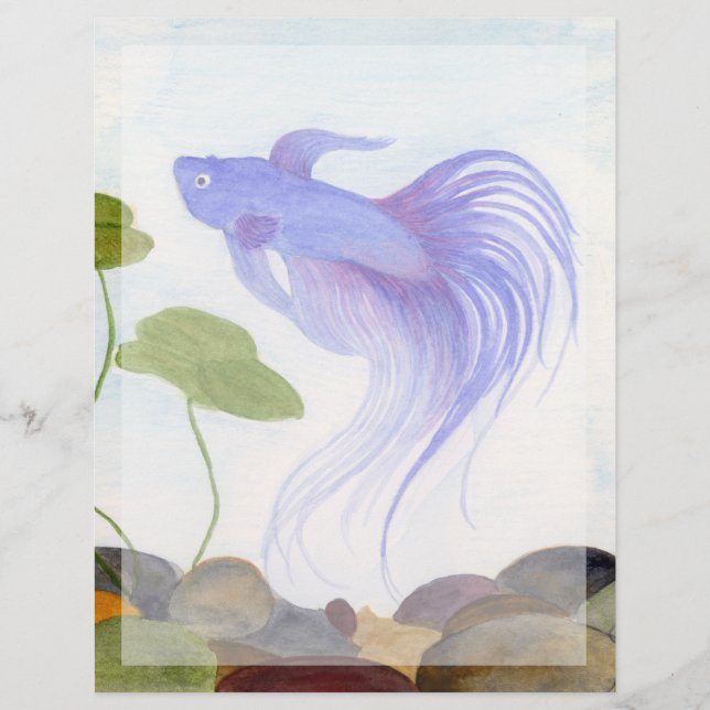 ブルーベッタフィッシュ (正面)