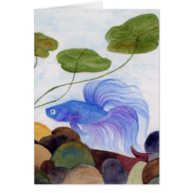 ブルーベッタフィッシュ (正面)