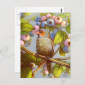 ブルーベリーとオレンジ色の生意気なワックスビルのフィンチ ポストカード (正面/裏面)