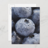ブルーベリーのスタジオショット2 ポストカード (正面/裏面)