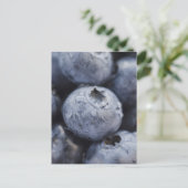 ブルーベリーのスタジオショット2 ポストカード (スタンド正面)