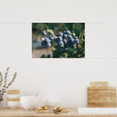 ブルーベリーのフルーツポスター ポスター (キッチン)