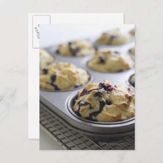 ブルーベリーのマフィンが焼き網の上に置かれた焼き型に入っている ポストカード (正面/裏面)