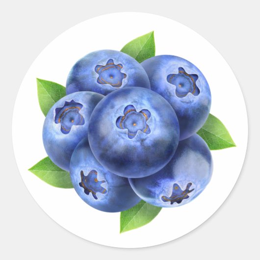 ブルーベリーの丸い組成 ラウンドシール (正面)