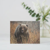 ブルーベリーの唇を持つグリズリーベア ポストカード (スタンド正面)