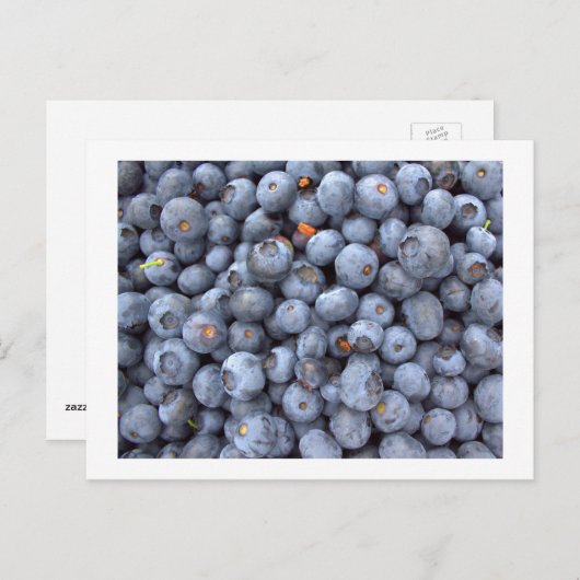 ブルーベリーの果実，ブルーベリー農場で撮影された写真 ポストカード (正面/裏面)