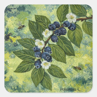 ブルーベリーの枝の植物画 スクエアシール