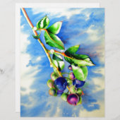 ブルーベリーの枝、水彩画 (正面/裏面)