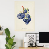 ブルーベリーの植物画ビンテージアートポスター ポスター (ホームオフィス)