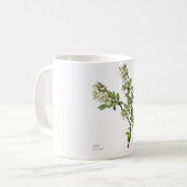 ブルーベリーの花のマグカップ コーヒーマグカップ (正面左)