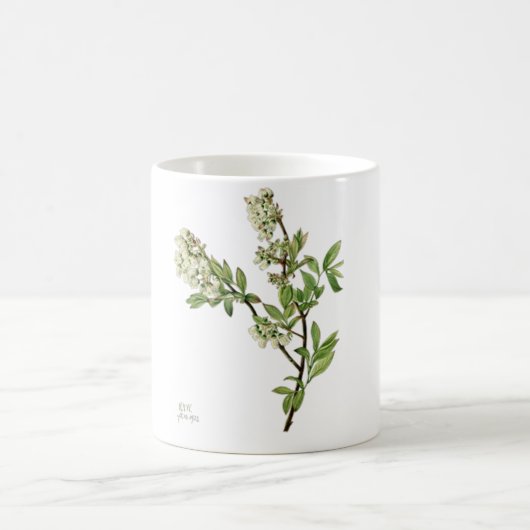 ブルーベリーの花のマグカップ コーヒーマグカップ (中央)
