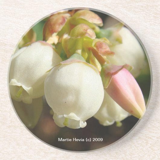 ブルーベリーの花 – コースター (正面)