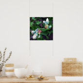 ブルーベリーの花 ポスター (キッチン)