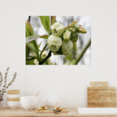 ブルーベリーの花 ポスター (キッチン)