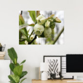 ブルーベリーの花 ポスター (ホームオフィス)