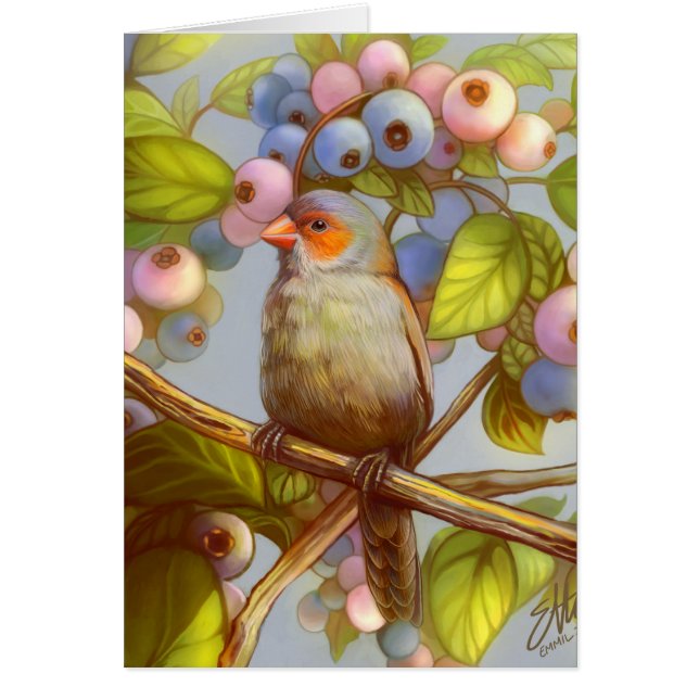 ブルーベリーを持つオレンジcheeked waxbillのフィンチ (正面)