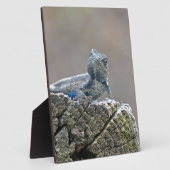 ブルーベリーアリゲーターリザード フォトプラーク (側面)