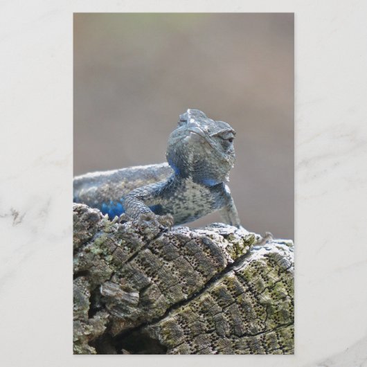 ブルーベリーアリゲーターリザード 便箋 (正面)