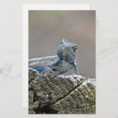 ブルーベリーアリゲーターリザード 便箋 (正面/裏面)