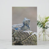 ブルーベリーアリゲーターリザード 便箋 (スタンド正面)