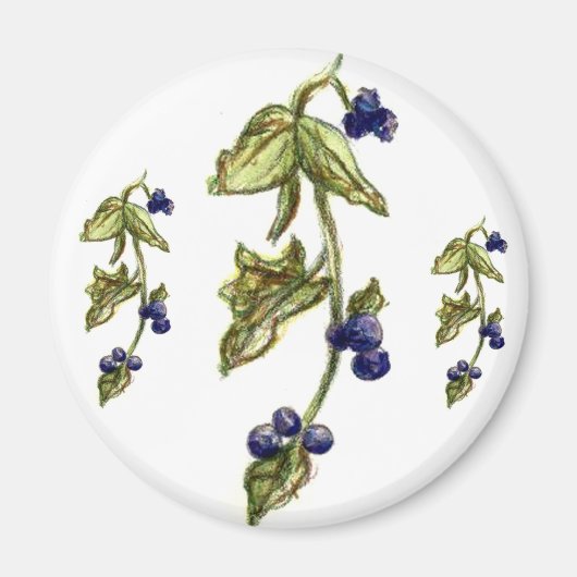 ブルーベリーオンつる植物マグネット マグネット (正面)