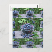 ブルーベリーシェフヘルシークジーニングブレックファーストサラダ ポストカード (正面/裏面)