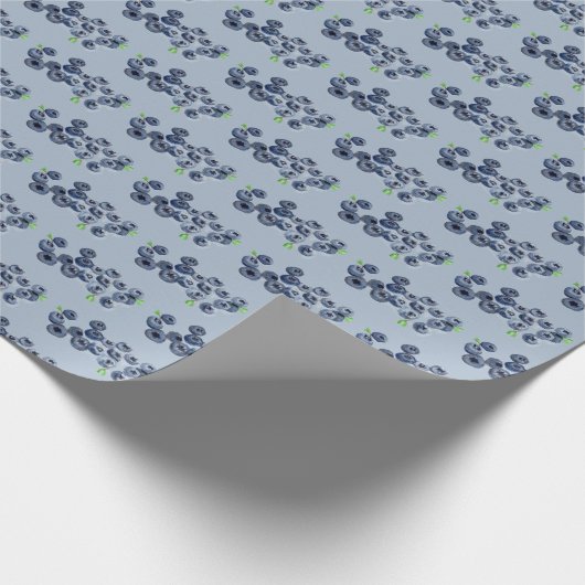 ブルーベリースウィートバースデーパーティルーツサマー ラッピングペーパー (角)