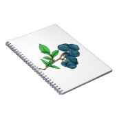 ブルーベリースケッチ ノートブック (右側)