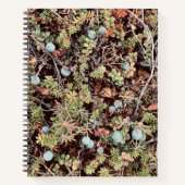 ブルーベリーノートブック ノートブック (正面)