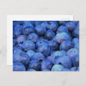 ブルーベリーパイル シーズンポストカード (正面/裏面)