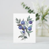 ブルーベリーフルーツウォーターのアートワーク ポストカード (スタンド正面)