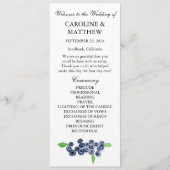 ブルーベリーブルーフルーツウォーター素朴カラー結婚ズ プログラム (正面)