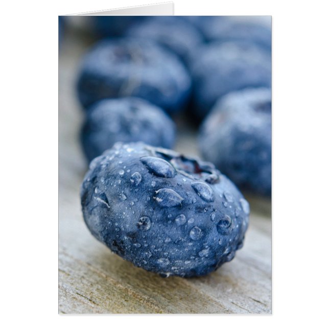 ブルーベリーマクロ (正面)