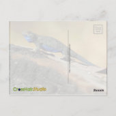 ブルーベリーリザード ポストカード (裏面)